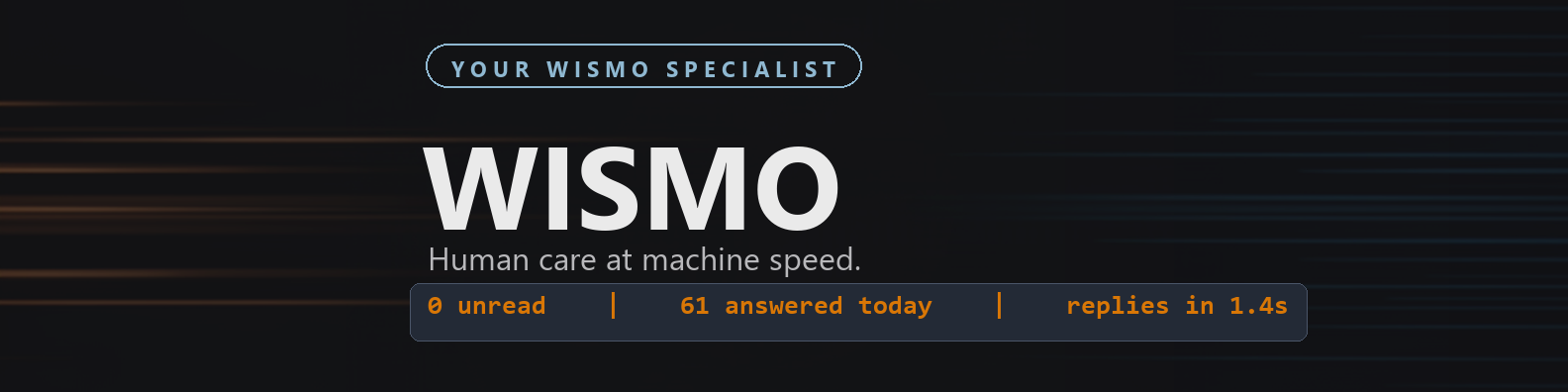 WISMO AI — your WISMO specialist. Human care at machine speed.